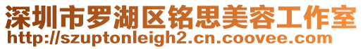 深圳市羅湖區(qū)銘思美容工作室