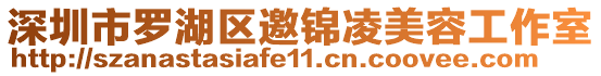 深圳市羅湖區(qū)邀錦凌美容工作室