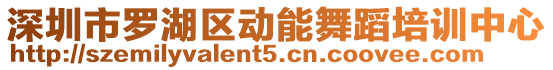 深圳市羅湖區(qū)動能舞蹈培訓(xùn)中心