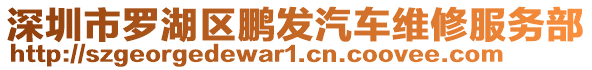 深圳市羅湖區(qū)鵬發(fā)汽車維修服務(wù)部