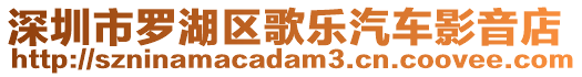 深圳市羅湖區(qū)歌樂汽車影音店