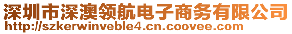 深圳市深澳領(lǐng)航電子商務(wù)有限公司