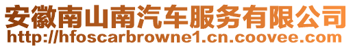 安徽南山南汽車服務(wù)有限公司