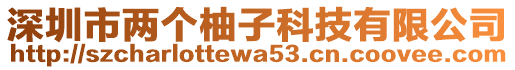 深圳市兩個柚子科技有限公司