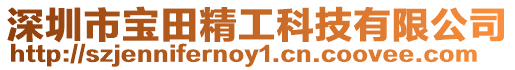 深圳市寶田精工科技有限公司