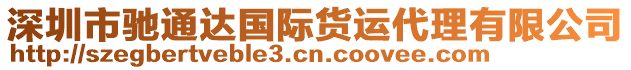 深圳市馳通達(dá)國(guó)際貨運(yùn)代理有限公司