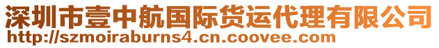 深圳市壹中航國際貨運(yùn)代理有限公司