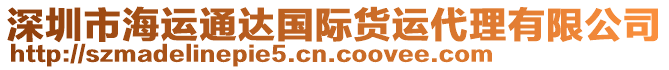 深圳市海運通達國際貨運代理有限公司