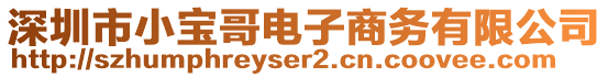 深圳市小寶哥電子商務(wù)有限公司