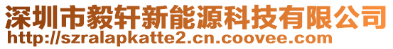 深圳市毅軒新能源科技有限公司