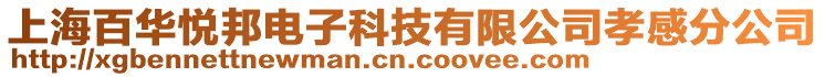 上海百华悦邦电子科技有限公司孝感分公司