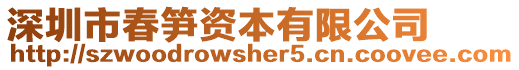 深圳市春筍資本有限公司