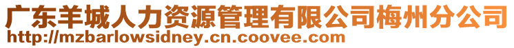 廣東羊城人力資源管理有限公司梅州分公司