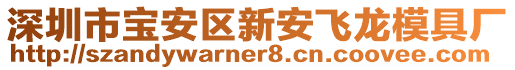 深圳市寶安區(qū)新安飛龍模具廠