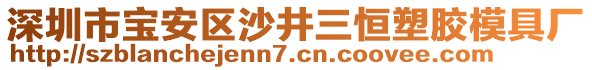 深圳市寶安區(qū)沙井三恒塑膠模具廠