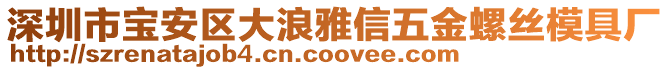 深圳市寶安區(qū)大浪雅信五金螺絲模具廠