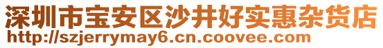 深圳市寶安區(qū)沙井好實惠雜貨店