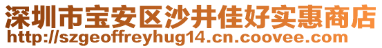 深圳市寶安區(qū)沙井佳好實惠商店