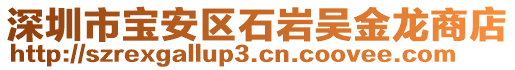 深圳市寶安區(qū)石巖吳金龍商店