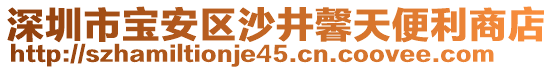 深圳市寶安區(qū)沙井馨天便利商店