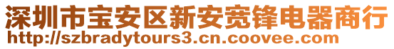 深圳市寶安區新安寬鋒電器商行