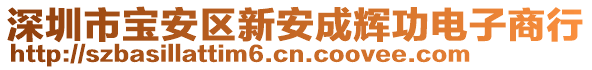 深圳市寶安區(qū)新安成輝功電子商行