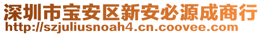 深圳市寶安區(qū)新安必源成商行