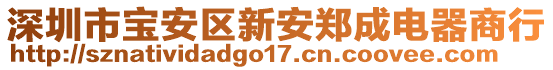 深圳市寶安區新安鄭成電器商行