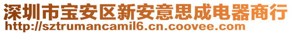 深圳市寶安區(qū)新安意思成電器商行