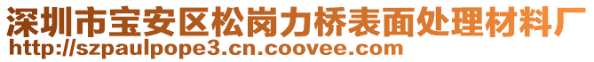 深圳市寶安區松崗力橋表面處理材料廠