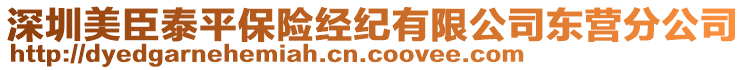 深圳美臣泰平保險經(jīng)紀有限公司東營分公司