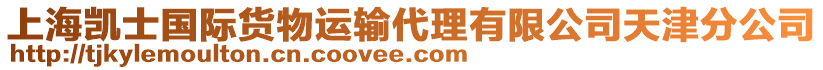 上海凱士國(guó)際貨物運(yùn)輸代理有限公司天津分公司