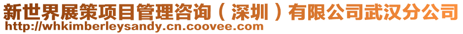 新世界展策項目管理咨詢(深圳)有限公司武漢分公司
