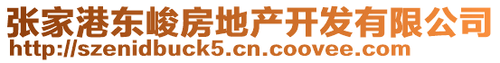 張家港東峻房地產(chǎn)開發(fā)有限公司