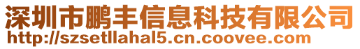 深圳市鵬豐信息科技有限公司