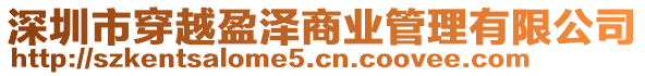 深圳市穿越盈澤商業(yè)管理有限公司