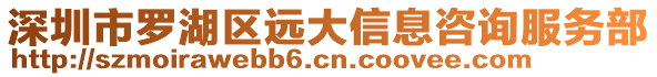 深圳市羅湖區(qū)遠大信息咨詢服務部