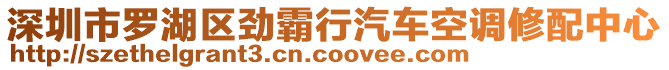 深圳市羅湖區(qū)勁霸行汽車空調(diào)修配中心