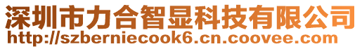 深圳市力合智顯科技有限公司