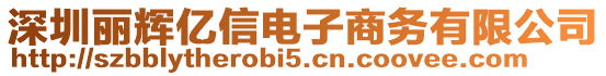 深圳麗輝億信電子商務(wù)有限公司