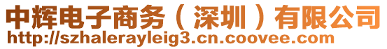 中輝電子商務(wù)（深圳）有限公司