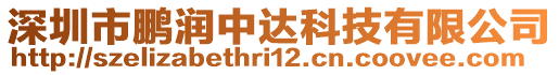 深圳市鵬潤中達科技有限公司