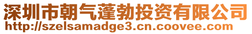 深圳市朝氣蓬勃投資有限公司