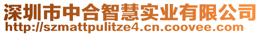 深圳市中合智慧實(shí)業(yè)有限公司