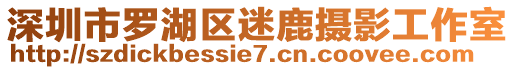 深圳市羅湖區(qū)迷鹿攝影工作室