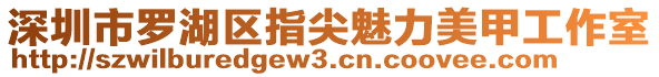 深圳市羅湖區(qū)指尖魅力美甲工作室