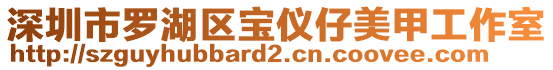 深圳市羅湖區寶儀仔美甲工作室