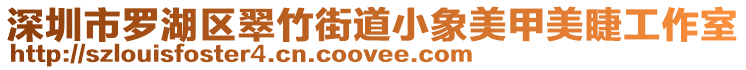 深圳市羅湖區(qū)翠竹街道小象美甲美睫工作室
