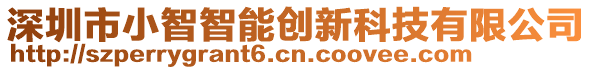 深圳市小智智能創(chuàng)新科技有限公司