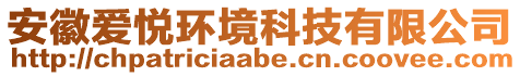 安徽愛悅環(huán)境科技有限公司